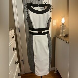 White House Black Market Black and White Spaghetti Strap Sheath Dress
